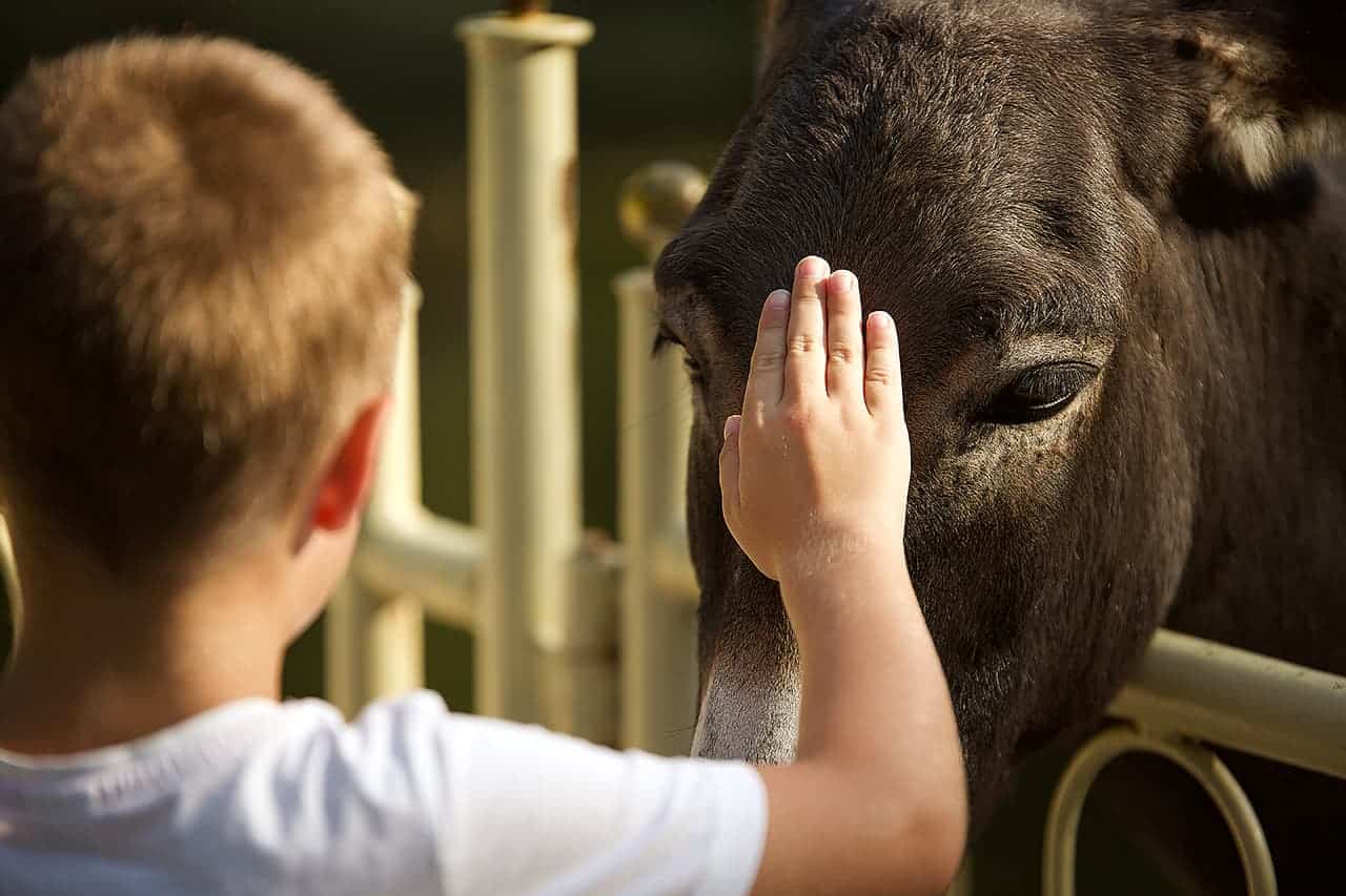 freizeitpark bayern