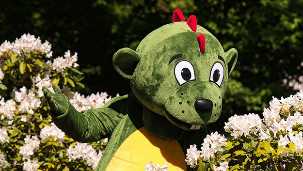 Maskottchen Dinolino gaernter jobsuche mit dinolino im bild und blumen