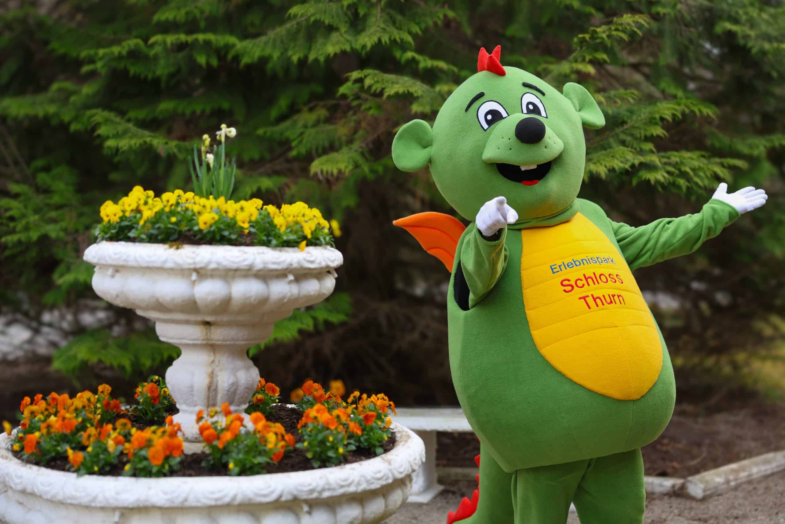 verwaltungsmitarbeiter karriere